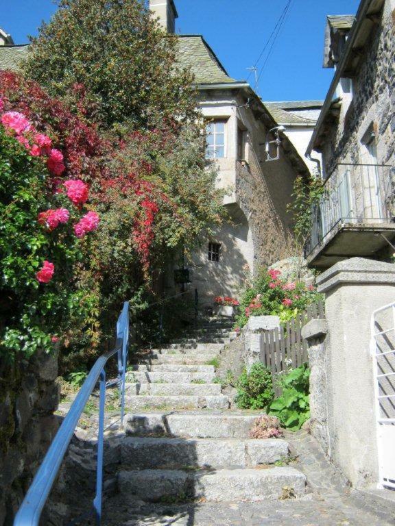 La Cure Grande Maison De Charme De 2 A 14 Personnes Saint-Urcize Dış mekan fotoğraf