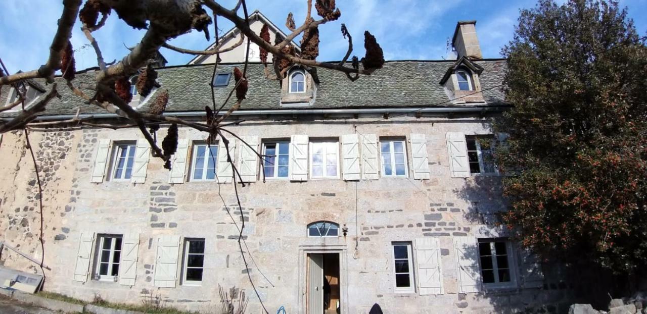 La Cure Grande Maison De Charme De 2 A 14 Personnes Saint-Urcize Dış mekan fotoğraf